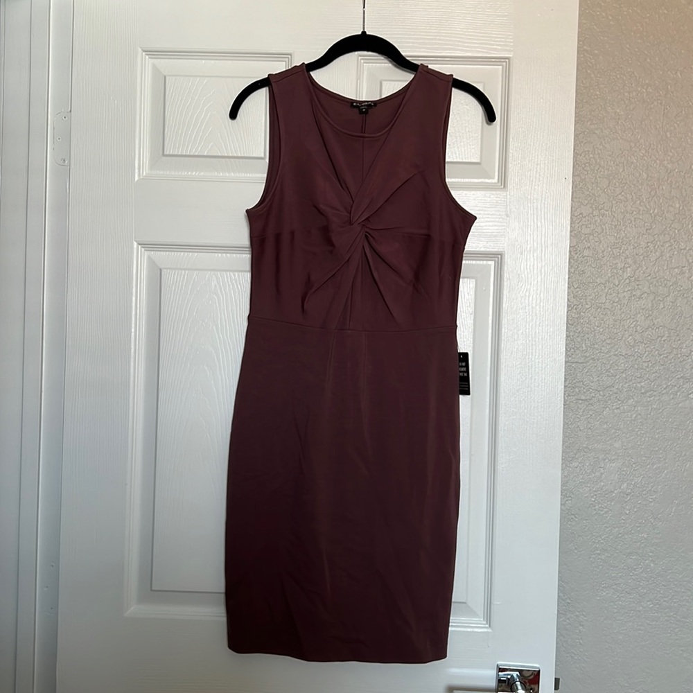 Plum Express Dress New with Tags